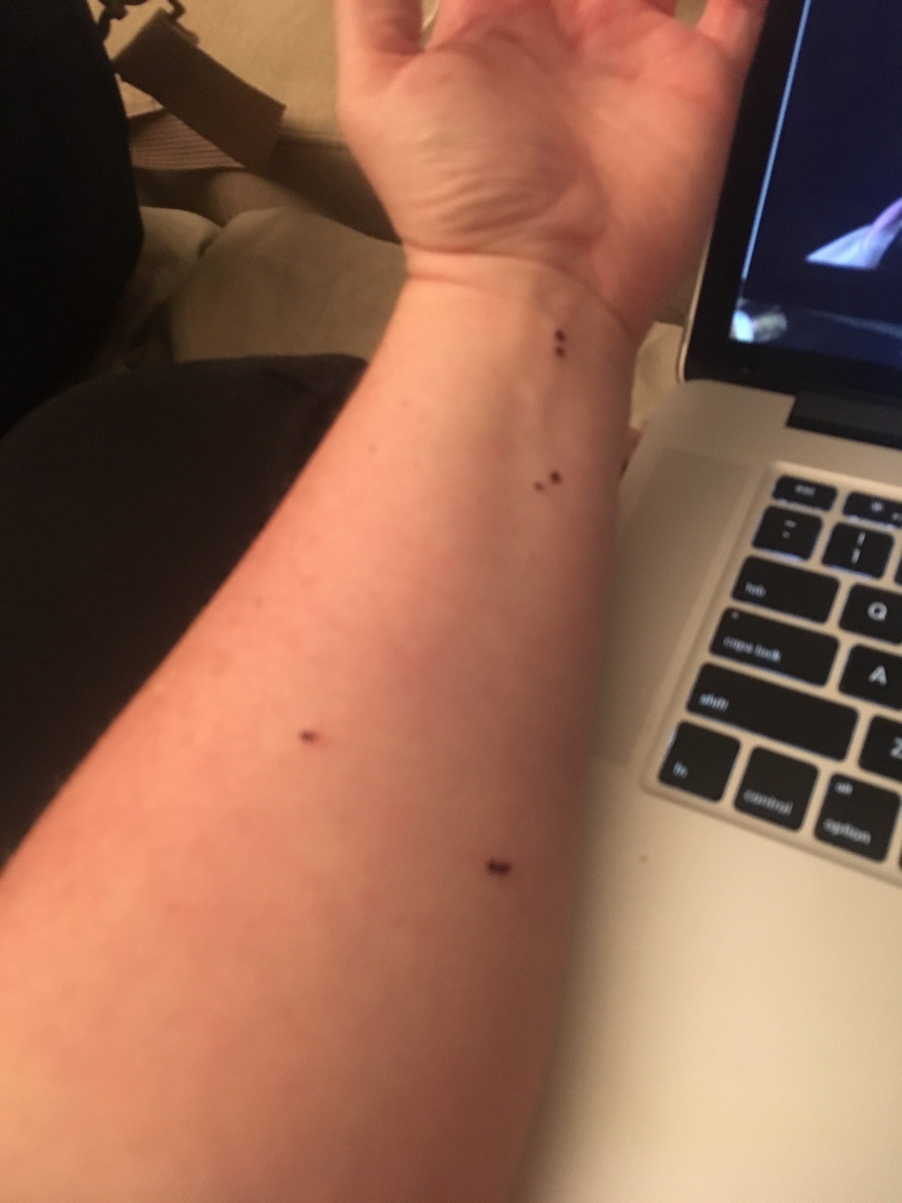 50995315699__1ed9e73f-f6cb-4ff4-a579-516ed3f36948