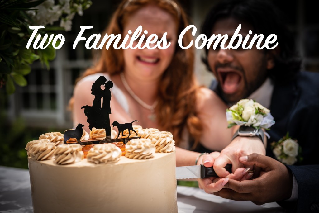 What is in a&nbsp;Surname?